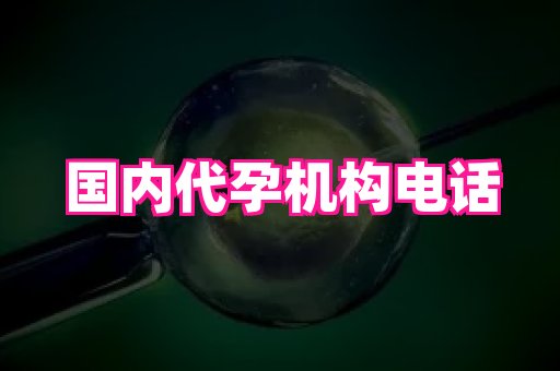 61助孕网 3